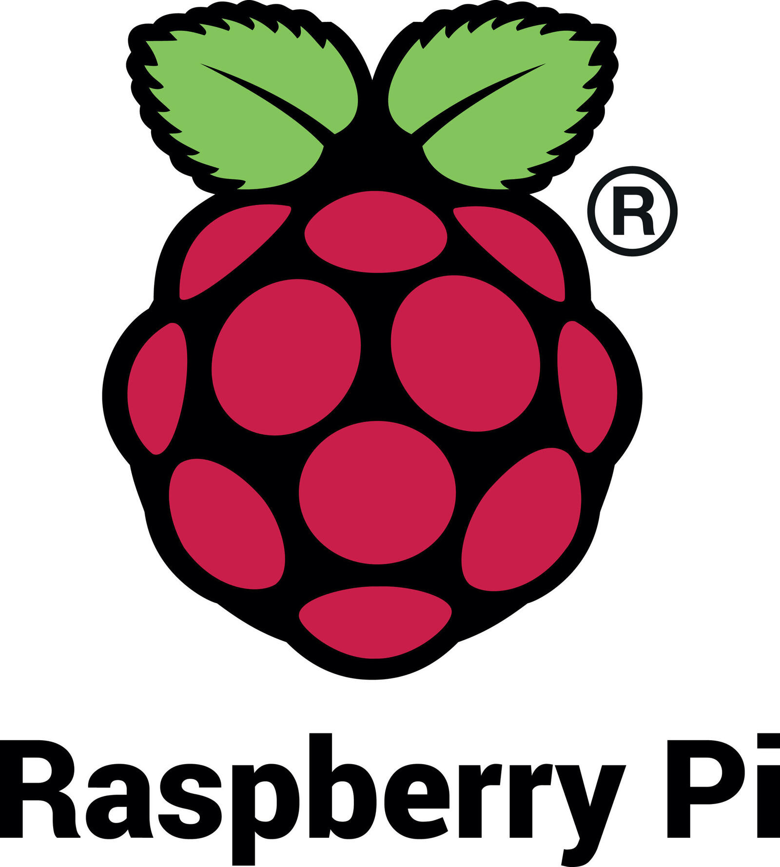 Raspberry Logo